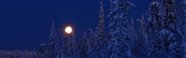 Рыбалка на хариуса зимняя. Фото 11813.