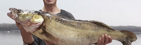 Spinningist63. Фото 11819.