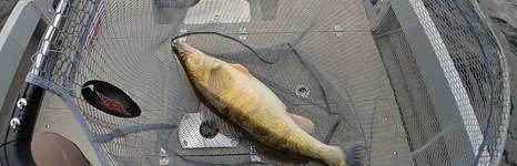 Spinningist63. Фото 11823.