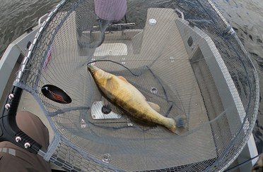 Spinningist63. Фото 11823.