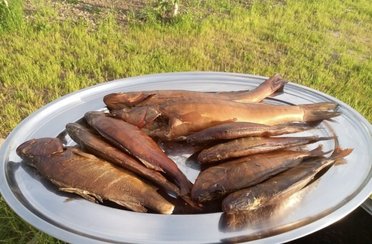 На Чеснаве. Фото 11846.