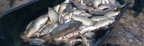 Рыбацкая заводь 48. Фото 11923.