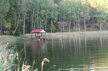 Чайка. Фото 1194.