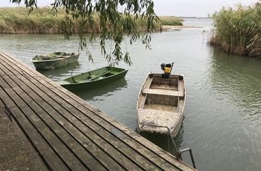 Приволье. Фото 11952.