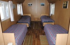 Приволье. Фото 11980.