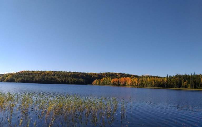 База на озере Товское. Фото 11984.