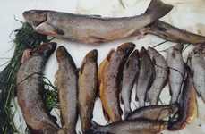 База  отдыха на озере Товское. Фото 11994.