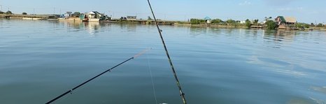 Белая Цапля. Фото 12032.