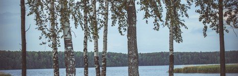 Причал. Фото 1204.