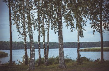 Причал. Фото 1204.