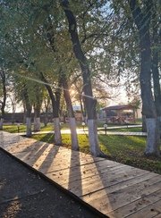 Fish Sense. Фото 12265.