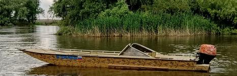 Fish Sense. Фото 12275.