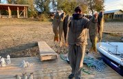 Fish Sense. Фото 12277.