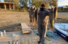 Fish Sense. Фото 12277.