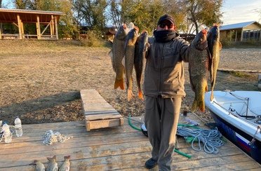 Fish Sense. Фото 12277.