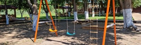 Fish Sense. Фото 12287.