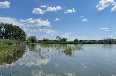 Пруд Щучий. Фото 12290.