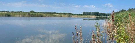 Пруд Щучий. Фото 12292.