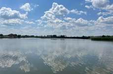 Пруд Щучий. Фото 12294.