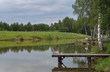 МИР . Фото 12319.