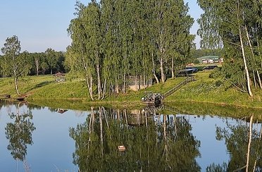 МИР . Фото 12328.