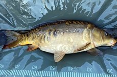 Душевный. Фото 12368.