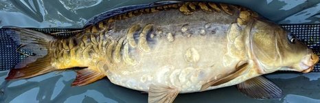 Душевный. Фото 12368.