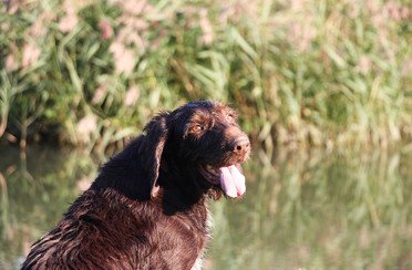 ТИСС. Фото 12403.