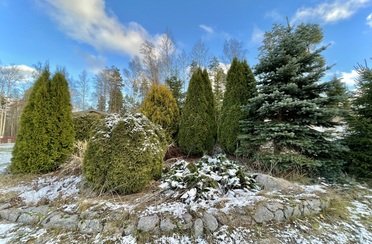 Остров. Фото 12476.