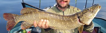 BigPike. Фото 12500.