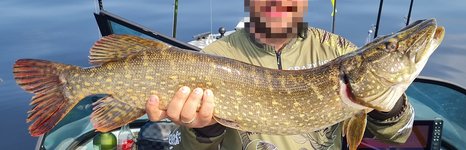 BigPike. Фото 12500.
