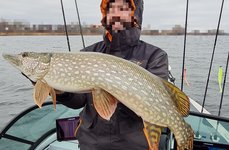 BigPike. Фото 12501.