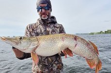 BigPike. Фото 12502.