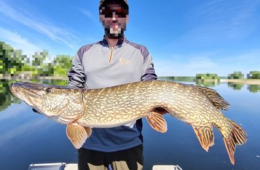 BigPike. Фото 12508.