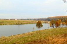 Данилово. Фото 1259.