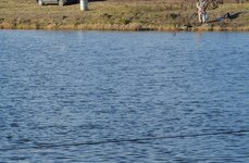 Данилово. Фото 1263.