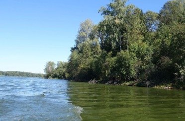 Зеленая лощина. Фото 1272.