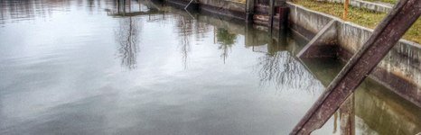 Белые камни. Фото 1290.