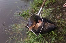 Белые камни. Фото 1291.