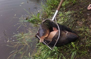 Белые камни. Фото 1291.