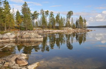 Niska. Фото 1298.