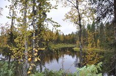 Niska. Фото 1299.