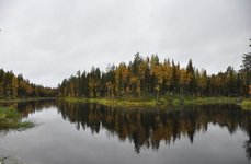 Niska. Фото 1300.