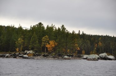 Niska. Фото 1303.