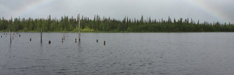 Niska. Фото 1305.