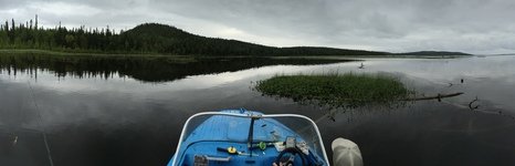 Niska. Фото 1306.