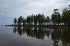 Niska. Фото 1307.