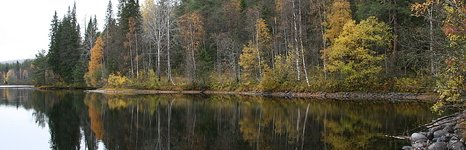 Niska. Фото 1312.