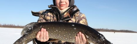 Охотничье-рыболовное хозяйство Экомир. Фото 13295.