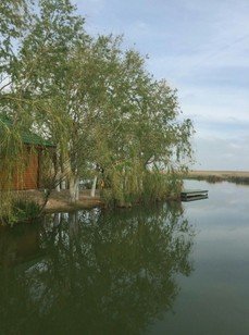 Азовские плавни. Фото 1330.